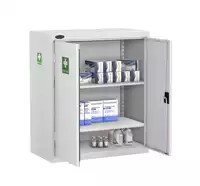 Wall Mounted Medicine Cabinet