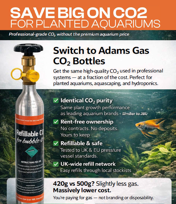 CO2 For Aquarium Plant Growth 420g