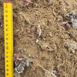 Equestrian Surface Materials For M?nages