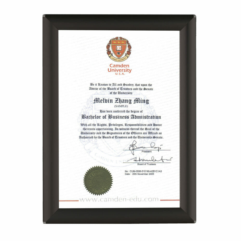 BusyGrip Certificate Frame - A4 - Black