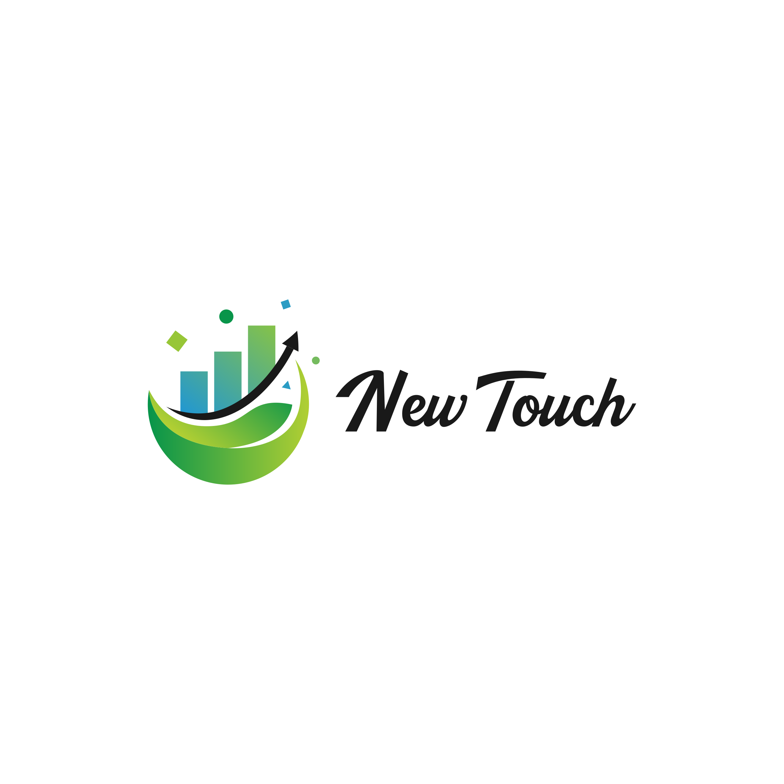 New Touch Ltd