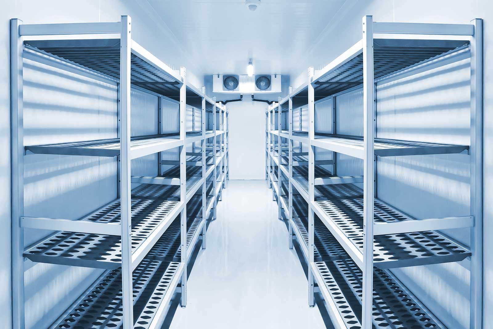 Tailored Cold Storage Installation Services