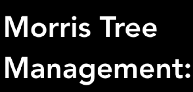 Morris Tree Management