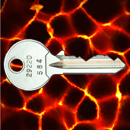 ASSA 29220 Locker Keys (DRY AREA)