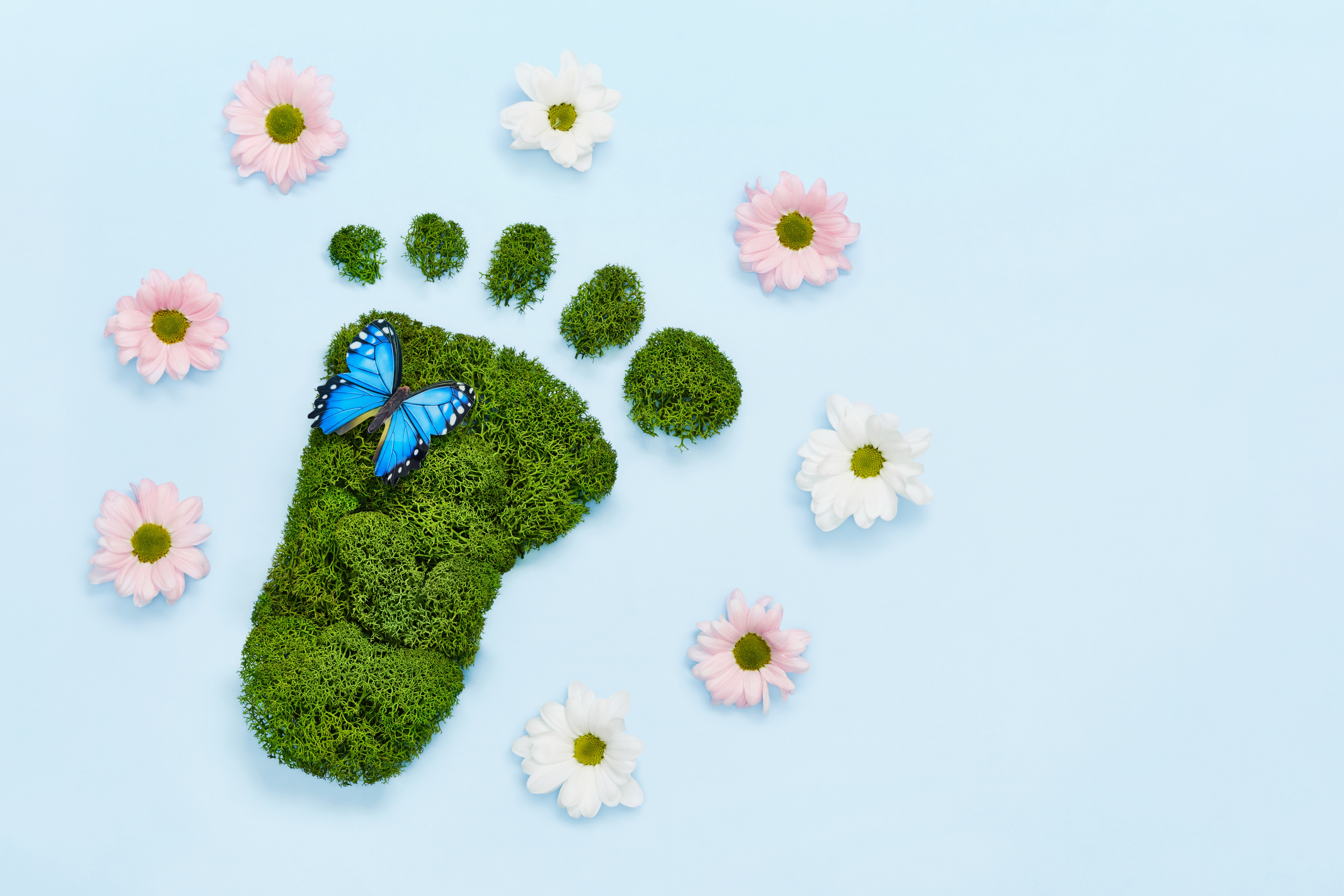 Assessment Of Carbon Footprint For Business