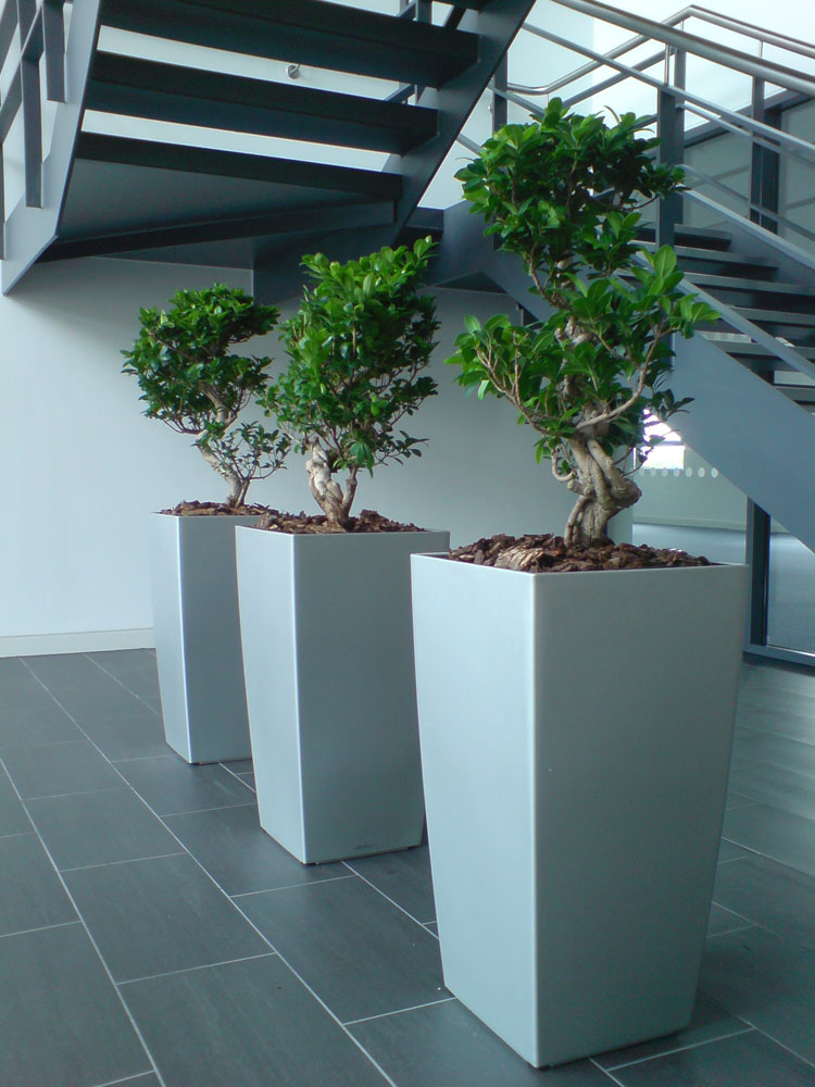 Artificial Plant Displays Eaton