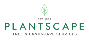 Plantscape Tree and Landscape Services