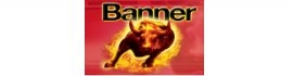 Banner Batteries GB Ltd