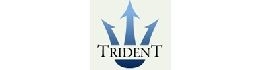 Trident Recycling