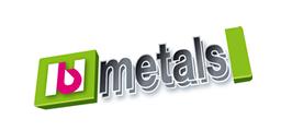 NB Metals Ltd
