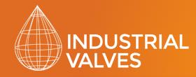 Industrial Valves Ltd 