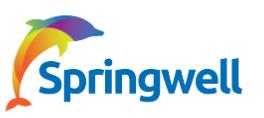 Springwell Micro Electronics Ltd