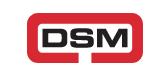 DSM Industrial Engineering Ltd