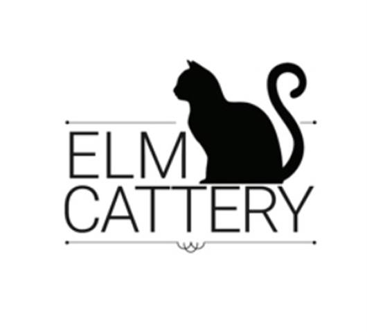 ELM Cattery