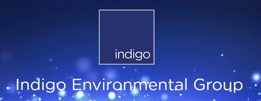 Indigo Environmental Group Ltd