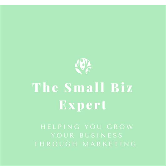 The Small Biz Expert