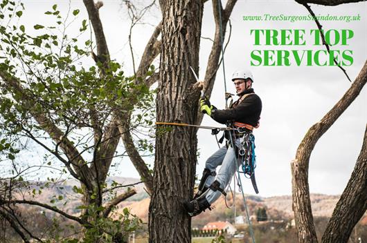 Tree Top Services