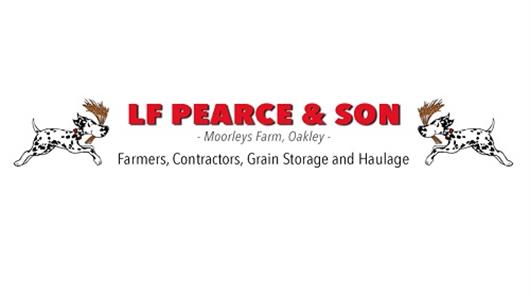Best Grain Colour Sorter Company In South-East