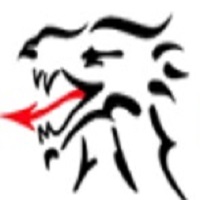 Dragon Renewables & Solar Thermal Service