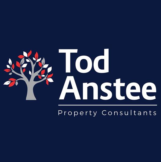 Tod Anstee Ltd