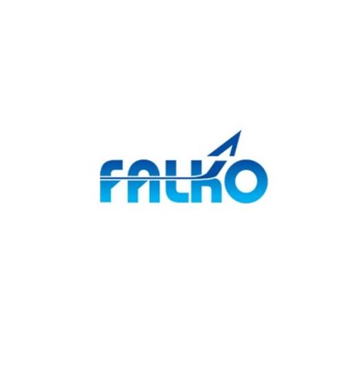 Falko Regional Aircraft Ltd