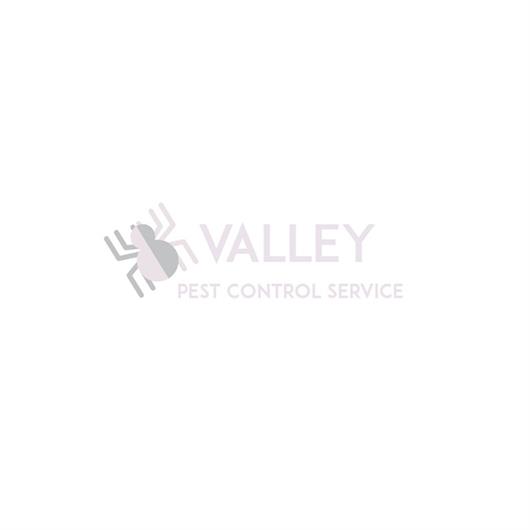 Valley Pest Control Service
