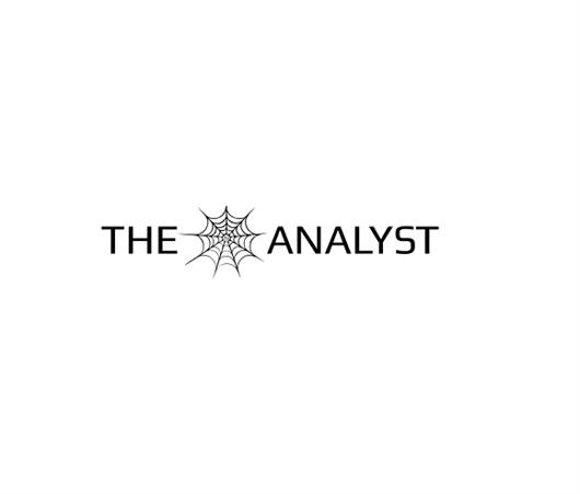 The Web Analyst