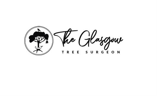 Timber Tree Surgeons Glasgow 