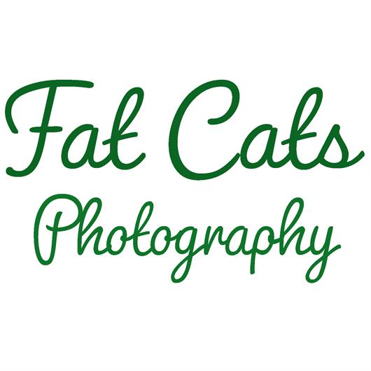 Fat Cats Photography