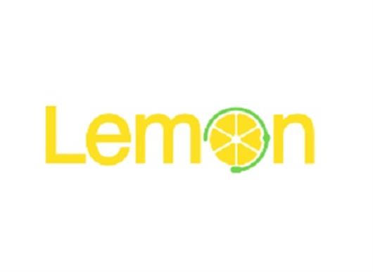 Lemon Business Solutions Ltd