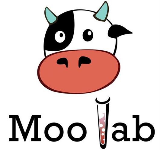 Moo Lab Birmingham