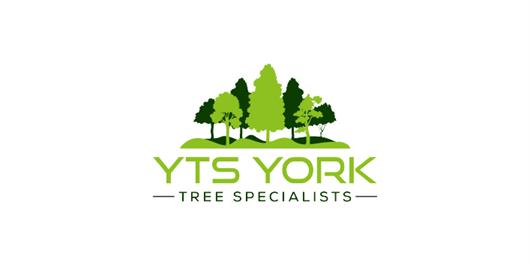 YTS York Tree Surgeon & Specialists