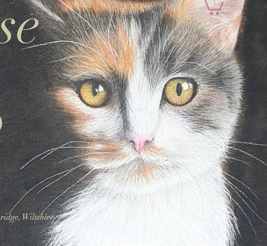 Dogrose and Catnip - Pet Portraits