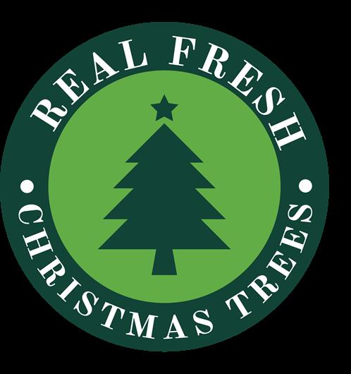 Real Fresh Christmas Trees