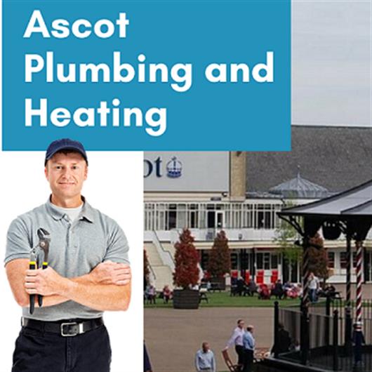 Your Local Plumber Ascot