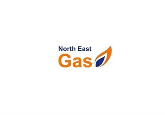 North East Gas Ltd