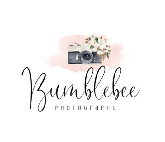 Bumblebee Photography