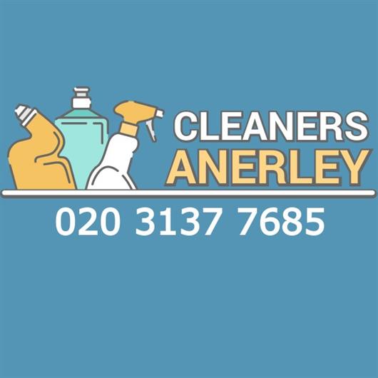 Cleaners Anerley