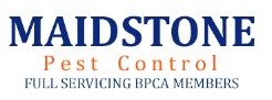 Maidstone Pest Control LTD