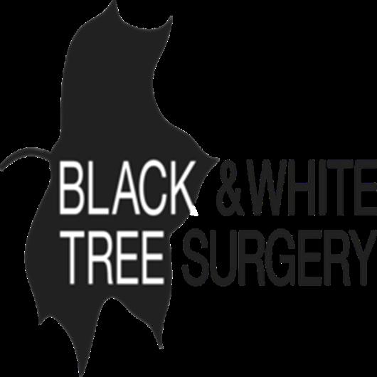 Black & White Tree Surgery