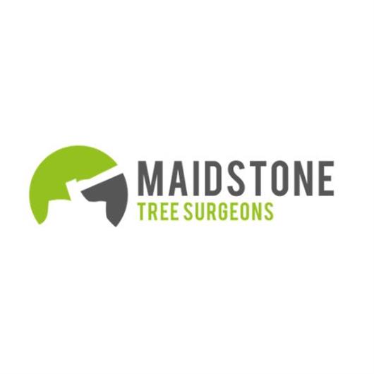 Maidstone Tree Surgeons Ltd