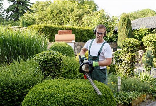 Sunbury & Windsor Gardeners