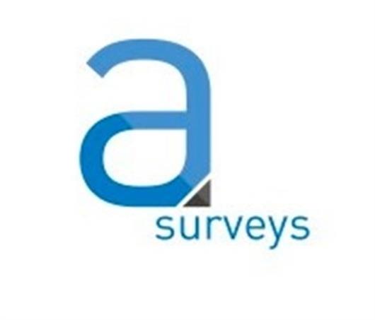 Asurveys Ltd