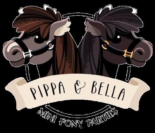 Miniature Shetland Therapy Ponies