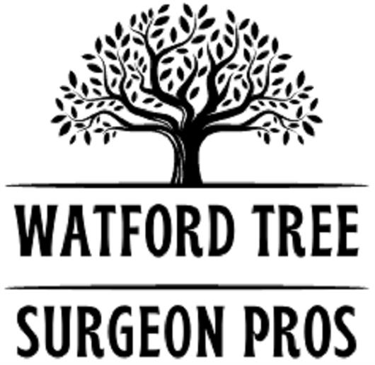 Watford Tree Surgeon Pros