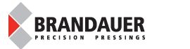 Brandauer and Co Ltd