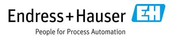 Endress+Hauser Ltd
