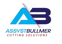 Assyst Bullmer Ltd