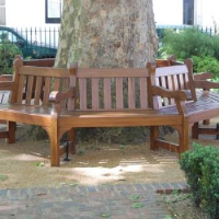 Tree Seat in Essex