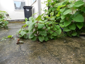  Geo-textile non-permeable membranes For Japanese Knotweed